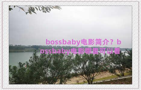 bossbaby电影简介？bossbaby电影哪里可以看