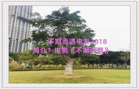 不期而遇电影2018简介？电影《不期而遇》