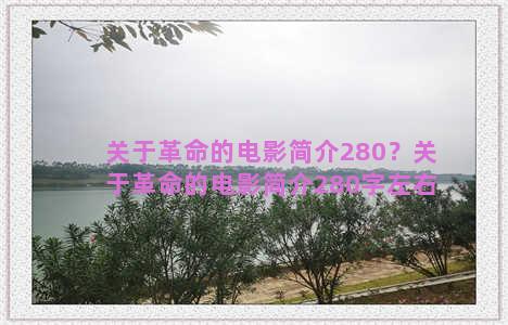 关于革命的电影简介280？关于革命的电影简介280字左右