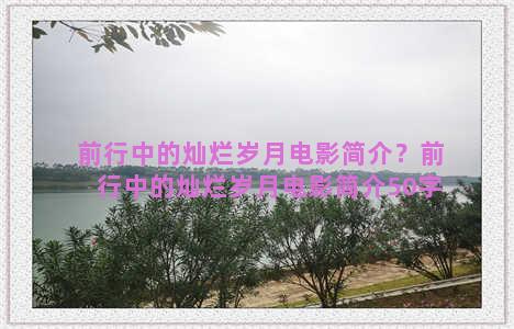 前行中的灿烂岁月电影简介？前行中的灿烂岁月电影简介50字