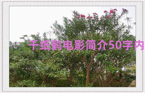 千纸鹤电影简介50字内容