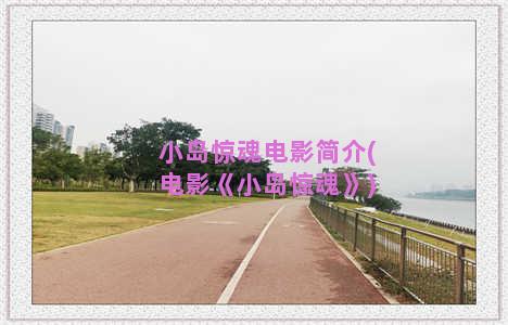 小岛惊魂电影简介(电影《小岛惊魂》)