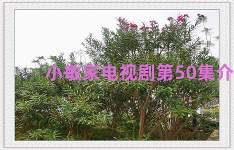 小敏家电视剧第50集介绍