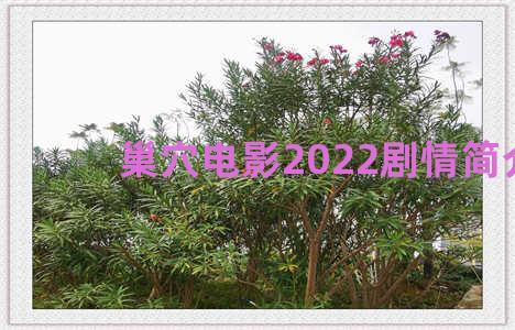 巢穴电影2022剧情简介