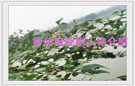 师父电视剧人物介绍