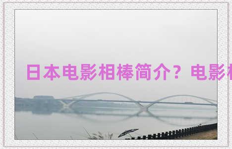 日本电影相棒简介？电影相棒lv