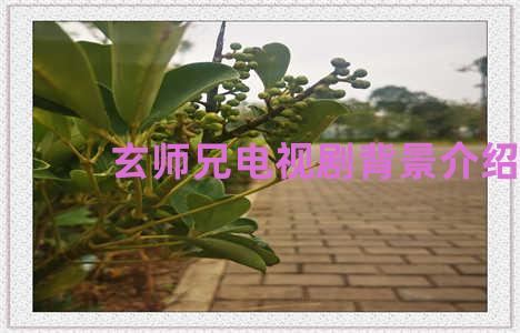 玄师兄电视剧背景介绍