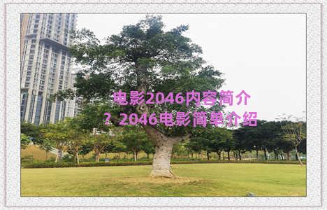 电影2046内容简介？2046电影简单介绍