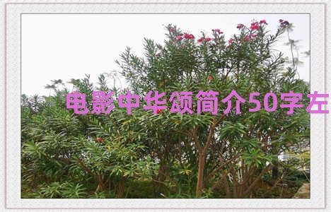 电影中华颂简介50字左右