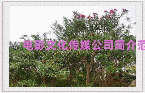 电影文化传媒公司简介范文