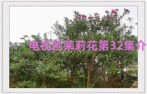 电视剧茉莉花第32集介绍